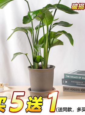 花盆加厚加仑树脂圆形花盆多肉绿萝月季花盆仿陶瓷塑料种植盆长钵
