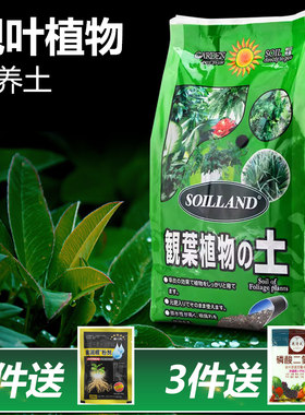 朝日观叶植物专用有机营养土