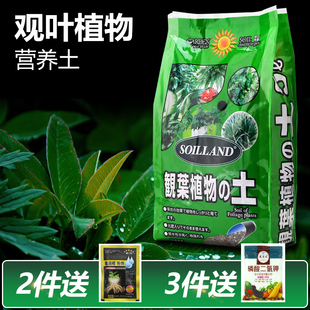 SOILLAND观叶植物专用营养土家庭园艺盆栽天堂鸟发财树种植土花土