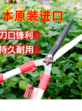 修枝剪修花树枝果树园林草坪绿篱专用工具剪家用庭院大剪刀篱笆剪