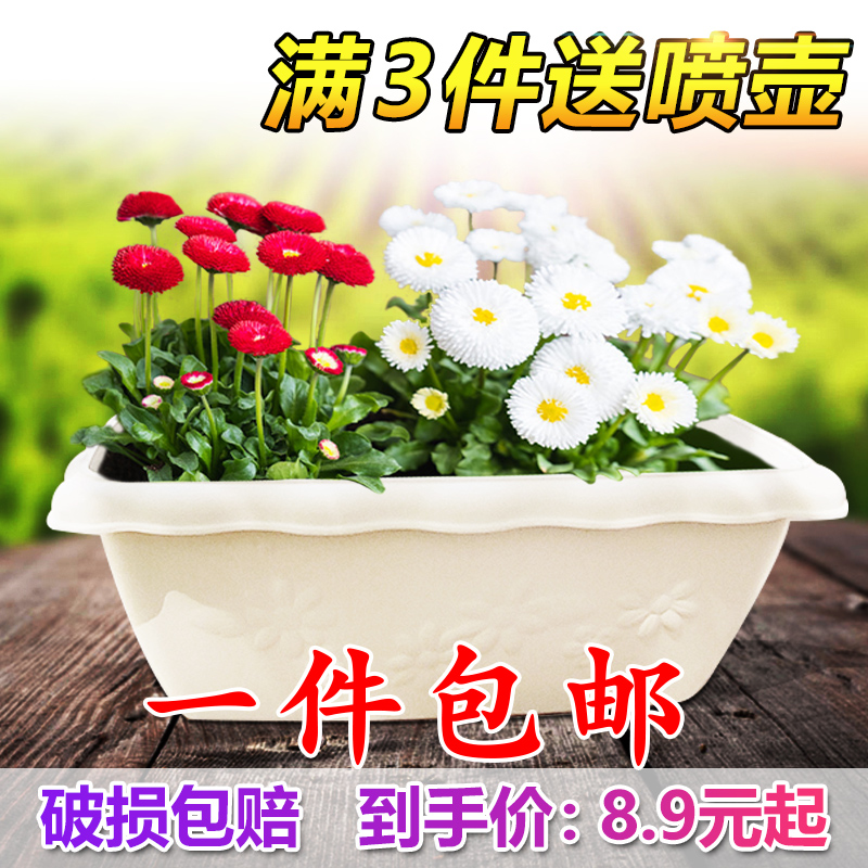 大号花盆浮雕树脂磨砂加厚阳台室内种菜种花多肉长条花盆结实耐用