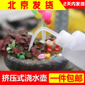 多肉壶多肉植物浇水器挤压式 尖嘴浇水器洒水壶植物浇花壶多用喷壶