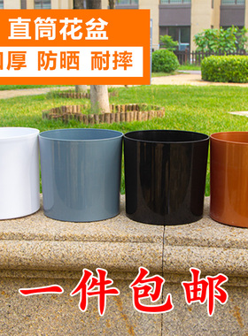 家用树脂直筒花盆园艺室内庭院阳台养花绿萝多肉盆栽种植盆塑料盆