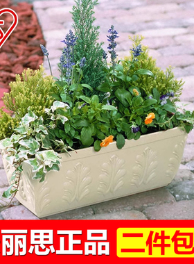 爱丽思凸纹花盆家庭园艺长方形大号盆栽树脂阳台种花菜长条盆包邮