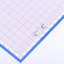 5F.0010222000R1(5) 一次性保险丝 5F 10A 250V 快断 025.2100200