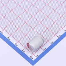 SPT1AM222G14ORVZC 直插铝电解电容 2200uF ±20% 10V