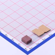 2009T630mA250V 一次性保险丝 方形塑封保险丝 慢断 编带 630mA25