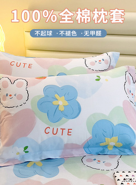 全棉枕套一对装48x74cm单人枕头内胆罩纯棉枕芯套加厚大号枕罩2只