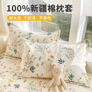 小清新全棉枕套一对装 48x74cm纯棉枕头内胆套枕芯罩单人枕单2只装