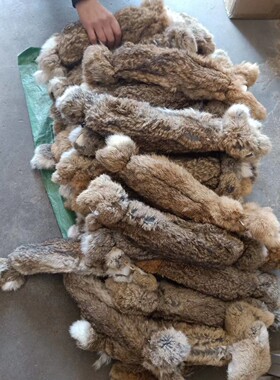 仿真兔训练狗狗咬合力专用格力犬惠比特内置PP哨出声耐咬仿真兔皮