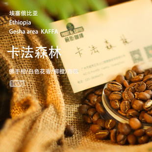 埃塞卡法森林瑰夏产区水洗原生种单品浅烘手冲法压冷萃精品咖啡豆