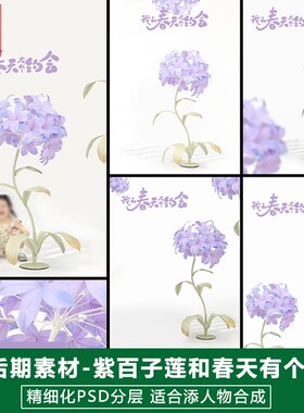 2025新版儿童影楼后期PS模板百天满月宝宝照片设计紫色百子莲素材