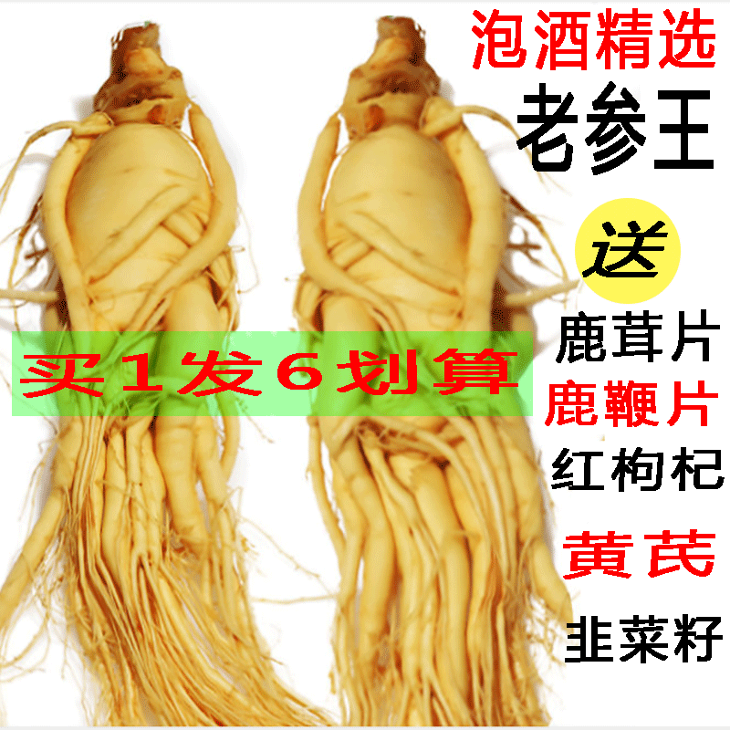 Changbai Preservation Senate fresh ginseng Paojiu Wild ginseng Soup Northeast ginseng Red ginsengin the Traditional nourishing food , Ginseng tonic , Ginseng/Garden ginseng  category - from Buy2taobao.com to provide professional Taobao agent buy service