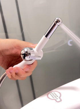 卫生间净身私处清洗器洗屁屁神器妇洗器喷头家用马桶伴侣高压喷枪