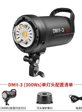 金贝（JINBEI）DMII300+500补光摄影灯套装摄影棚器材影视闪光灯