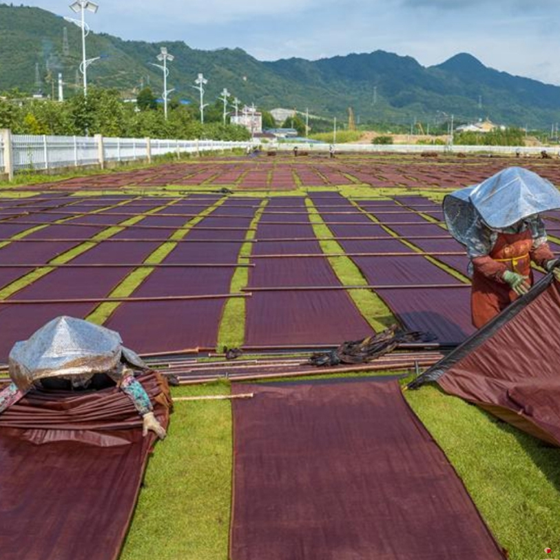 定制香云纱面料16号桑蚕丝链接 不支持7天无理由退货 介意慎拍110
