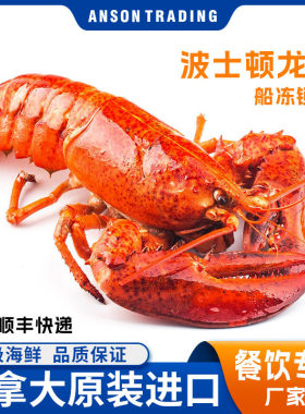 加拿大熟冻波士顿龙虾麻辣龙虾
