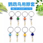 鹦鹉脖套不锈钢材质玄凤牡丹虎皮栓鸟链遛鸟放飞训练脖圈带链子