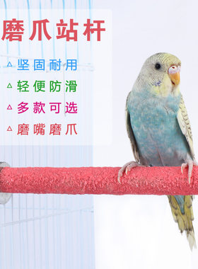 辞迈虎皮牡丹鹦鹉磨爪磨牙棒