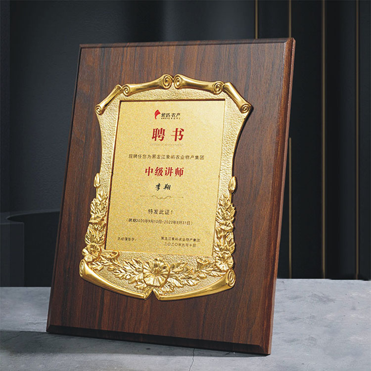 聘书荣誉证书木牌奖牌捐赠纪念品图片