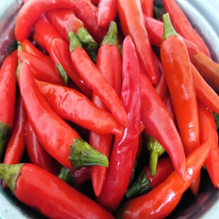 桂林全州特产酸辣椒泡辣红辣椒大红全州辣椒三份限区包邮