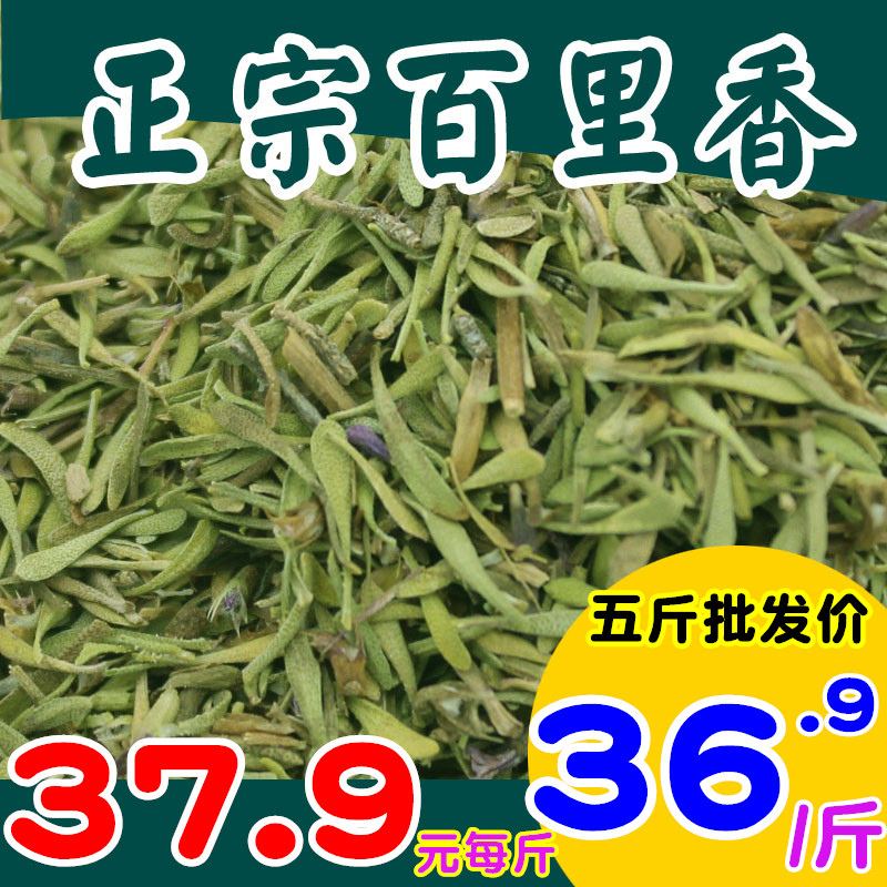 新纯真正百里香调料5thyme干麝香草什香草射食用香草粉叶西餐香料 粮油调味/速食/干货/烘焙 香辛料/干调类 原图主图