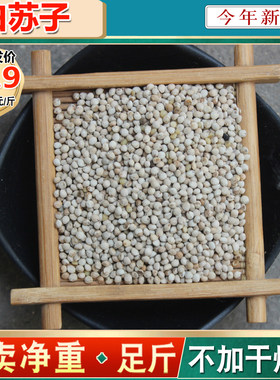 新货白苏子大颗粒软壳鸟粮批发