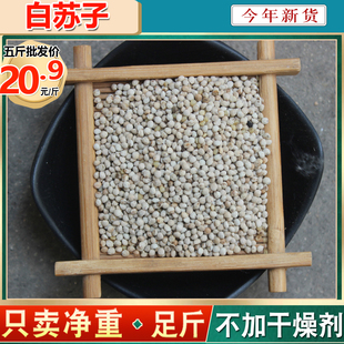 今年新白苏子鸟食鸟粮软壳苏籽鹦鹉玉鸟芙蓉鸟金丝雀黄鸟