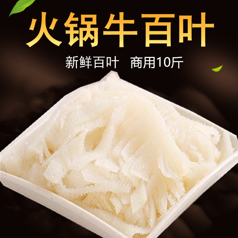新鲜牛百叶白毛肚千层肚火锅麻辣烫豆捞冒菜食材10斤包邮