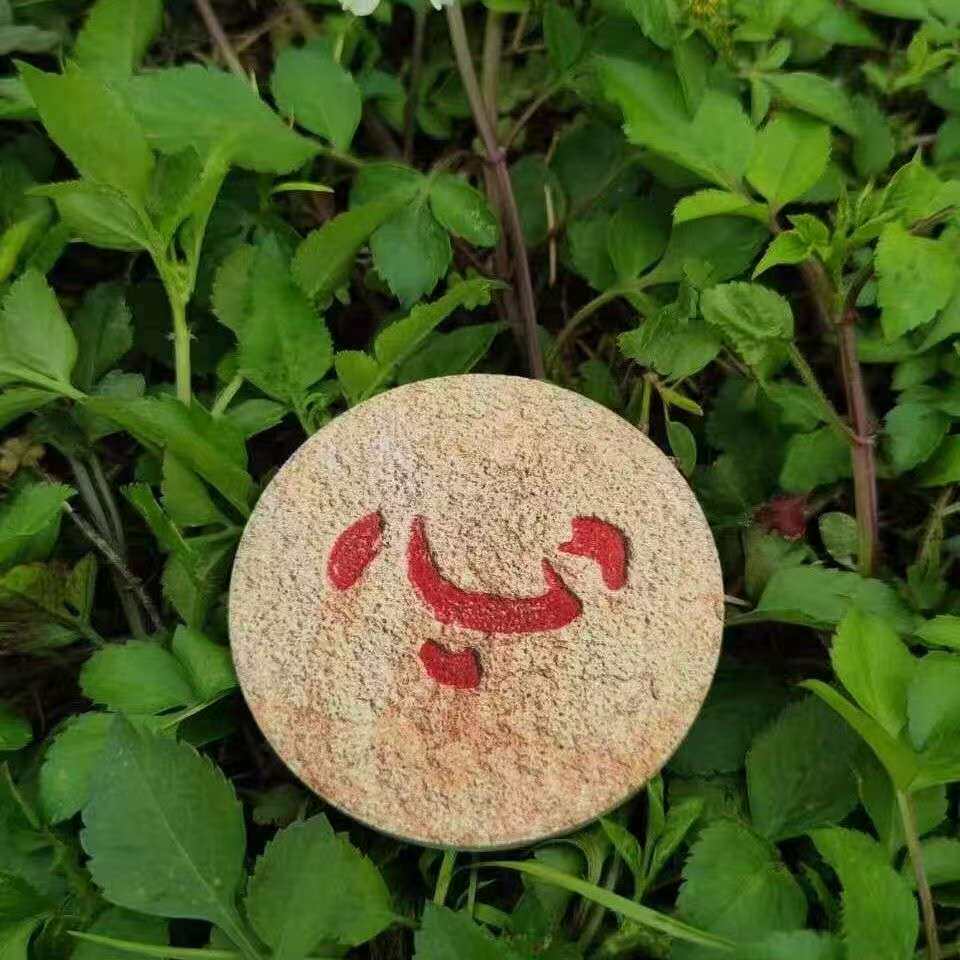开元寺放心石冰箱贴杯垫