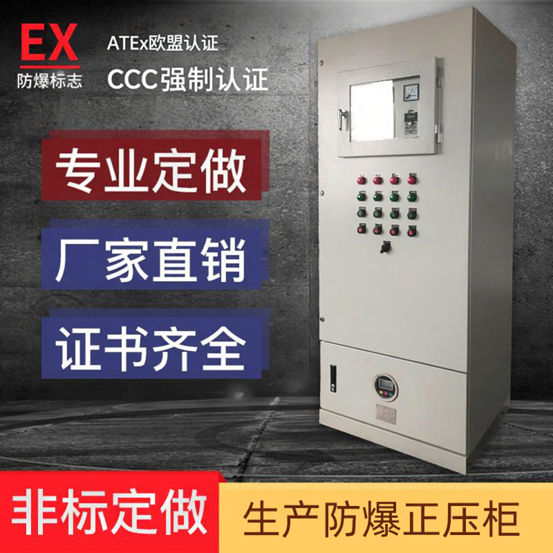 防爆正压柜PXK正压防爆柜通风型正压柜PLC配电柜变频柜9U防爆柜