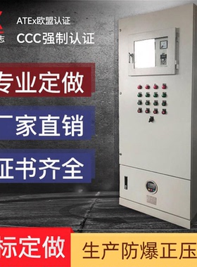 防爆正压柜PXK正压防爆柜通风型正压柜PLC配电柜变频柜9U防爆柜