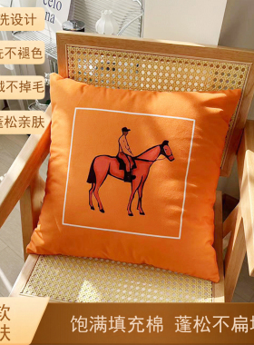 法式橙色抱枕沙发客厅轻奢高级感靠垫可拆洗毛绒护腰靠枕套不含芯
