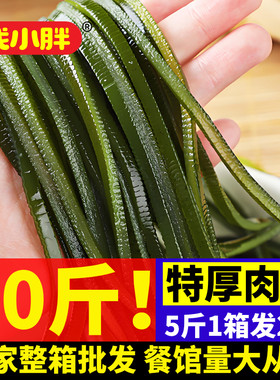 整箱10斤新鲜海带丝凉拌菜食材