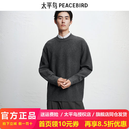 【商场同款】太平鸟男装毛衫25冬季新款圆领刺绣套头衫 B2EBF4D03