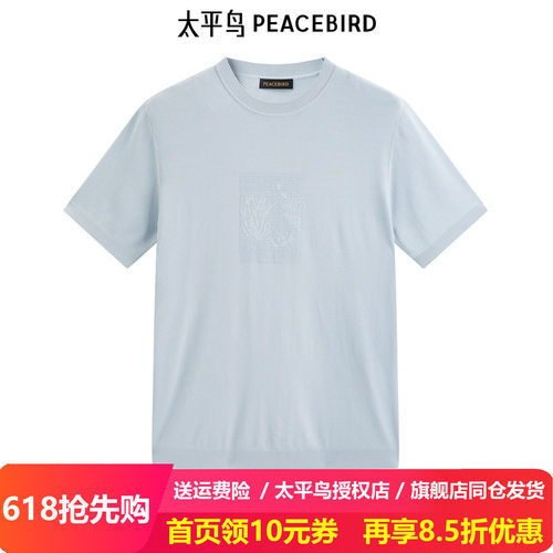 太平鸟男装印花针织T恤夏新款圆领修身体恤B1EEE2417