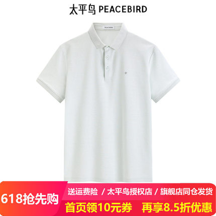 【王鹤棣同款】太平鸟男装 翻领短袖t恤24休闲polo衫B1COE2109