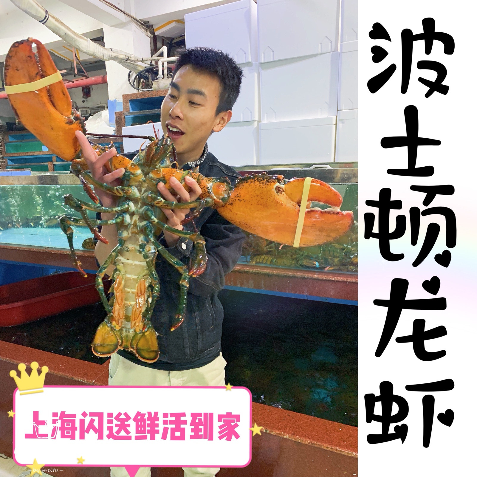 上海闪送鲜活波士顿龙虾1斤一只 进口波龙鲜活大龙虾新鲜海鲜龙虾