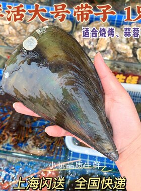 上海闪送海野生海鲜绿贝