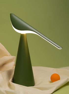 英国Established Sons旋转小鸟台灯卧室床头灯书房阅读氛围灯