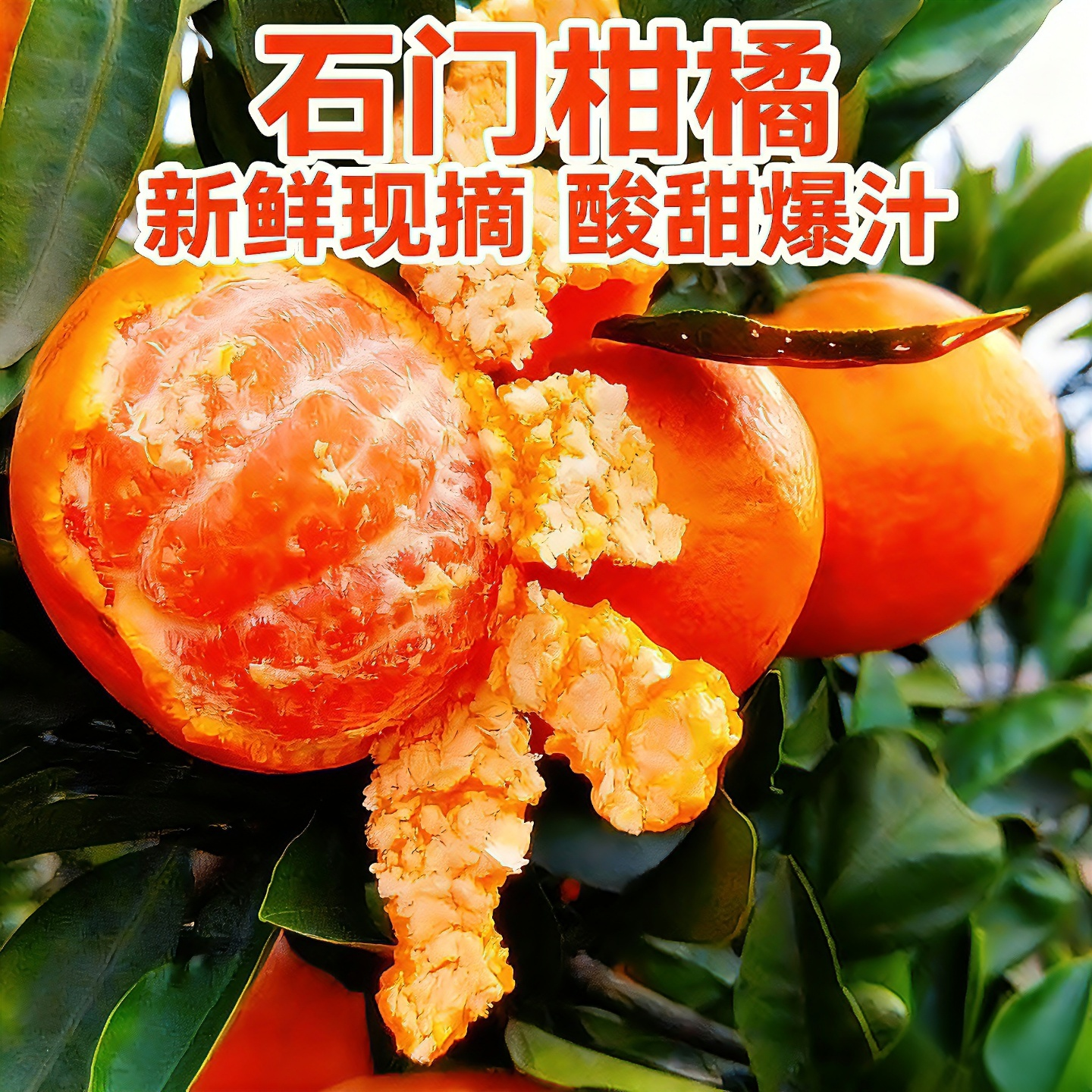 新鲜现摘石门柑橘秀坪蜜橘青皮桔子薄皮酸甜无籽蜜桔孕妇酸甜柑橘