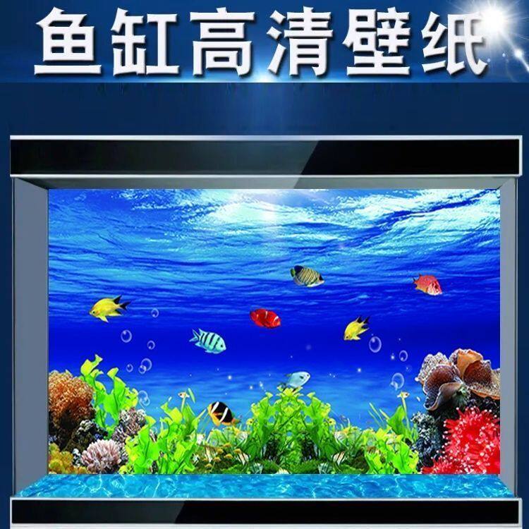 海底世界3d水族箱鱼缸背景贴纸5d立体画高清图造景装饰贴纸自粘纸