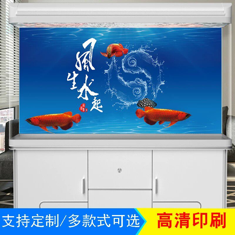5d水族箱立体造景装饰画3d鱼缸背景专用贴纸高清图风生水起壁纸贴