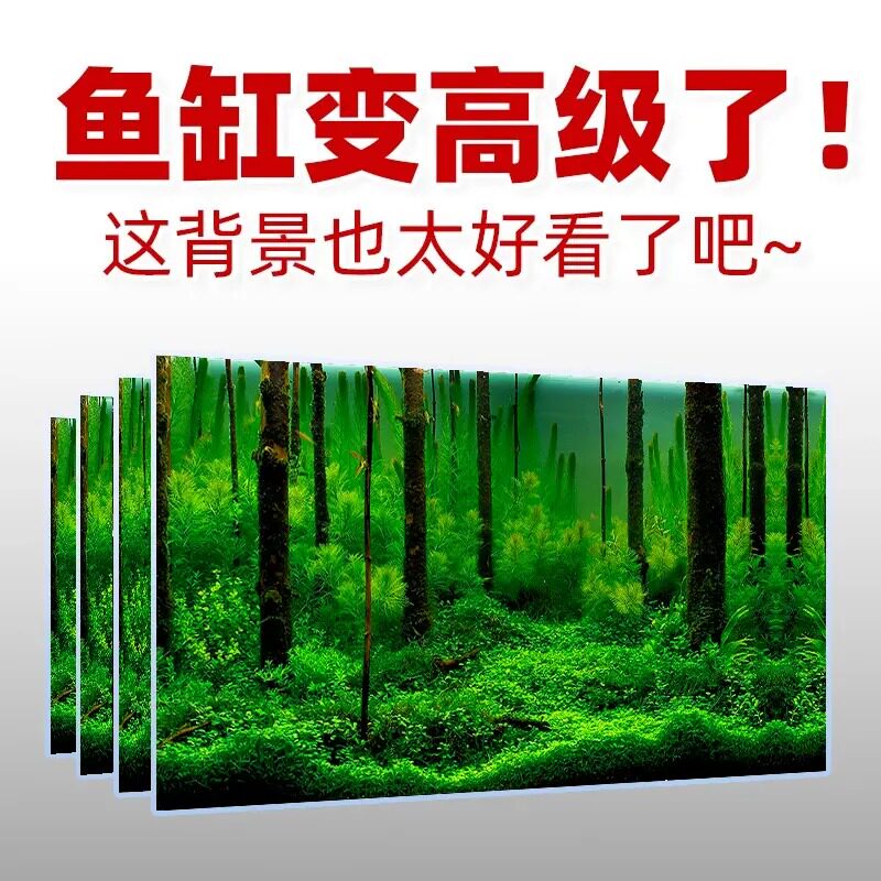 3d立体高清图5d水族箱绿植造景装饰正胶自粘壁画新款鱼缸背景贴纸