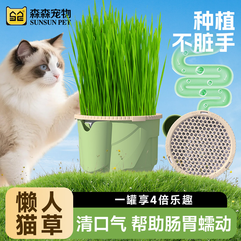 森森猫草杯盆栽育苗杯无土水培化毛狗草幼猫薄荷懒人自种重复使用,宠物/宠物食品及用品,猫草/猫草片,淘宝优惠券,粉丝福利购,淘宝优惠卷