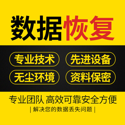 电脑固态SSD移动硬盘优盘数据恢复服务器数据库文件资料删除找回