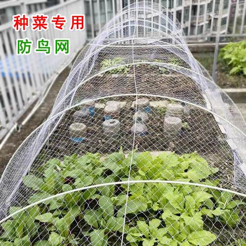 热销爆款防鸟网阳台防鸟网罩