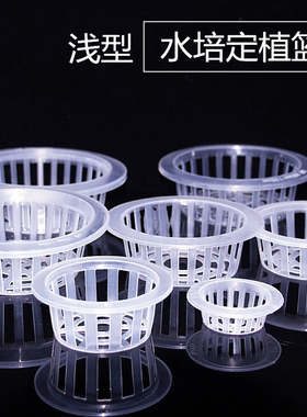 水培器皿定植蓝花盆定植篮绿萝固定器水培植物固根器玻璃瓶定植篮