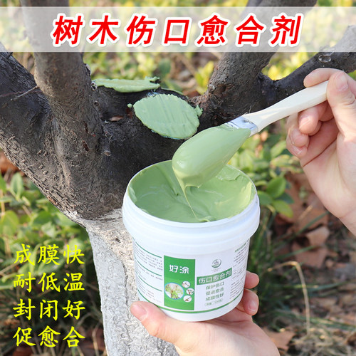 热销爆款大树伤口愈合剂涂膜剂