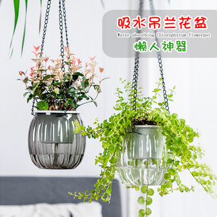 透明自动吸水花盆懒人水培垂吊绿萝吊兰盆植物悬挂式 绿植吊篮花盆